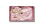 Pink Turban